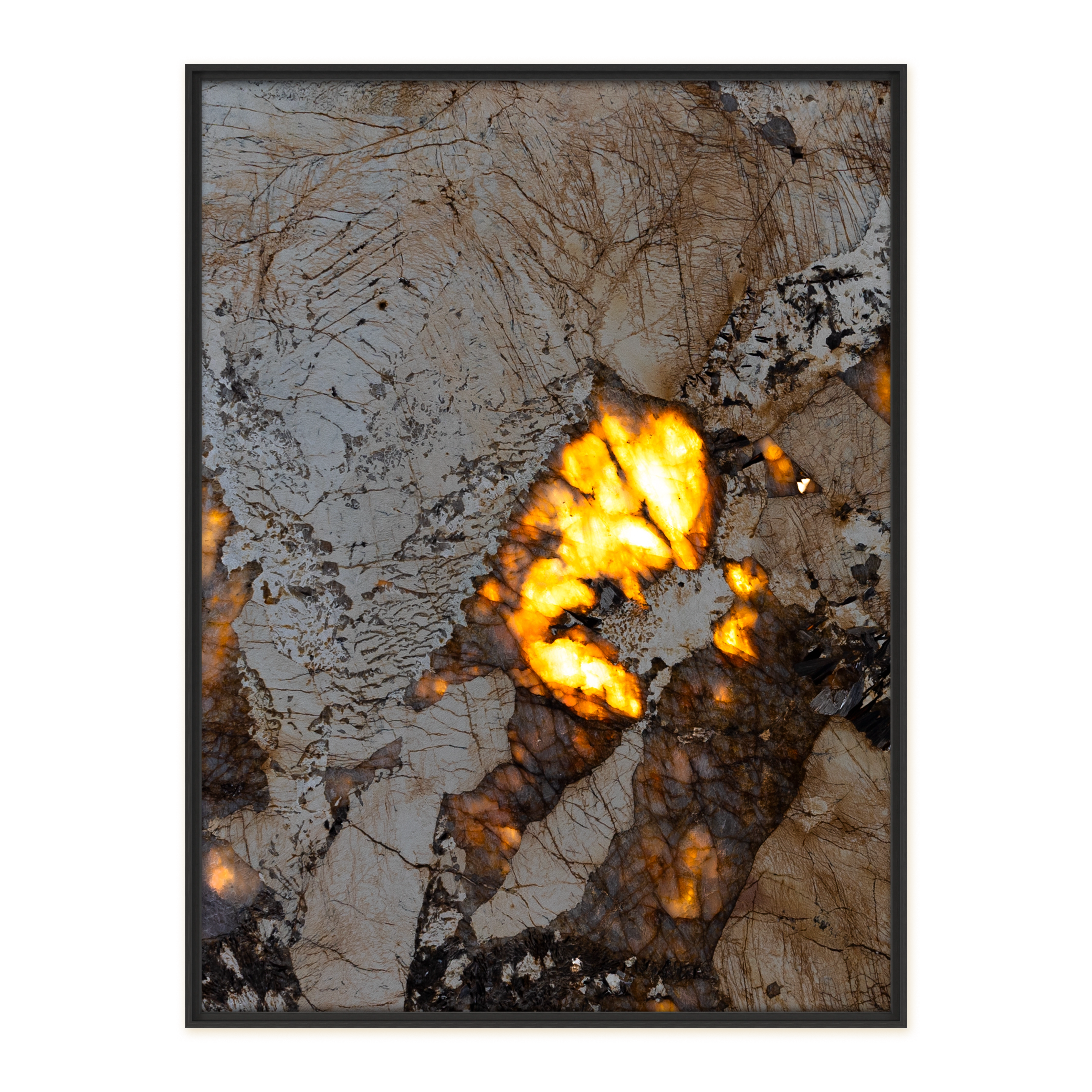 Mandus Sidonia