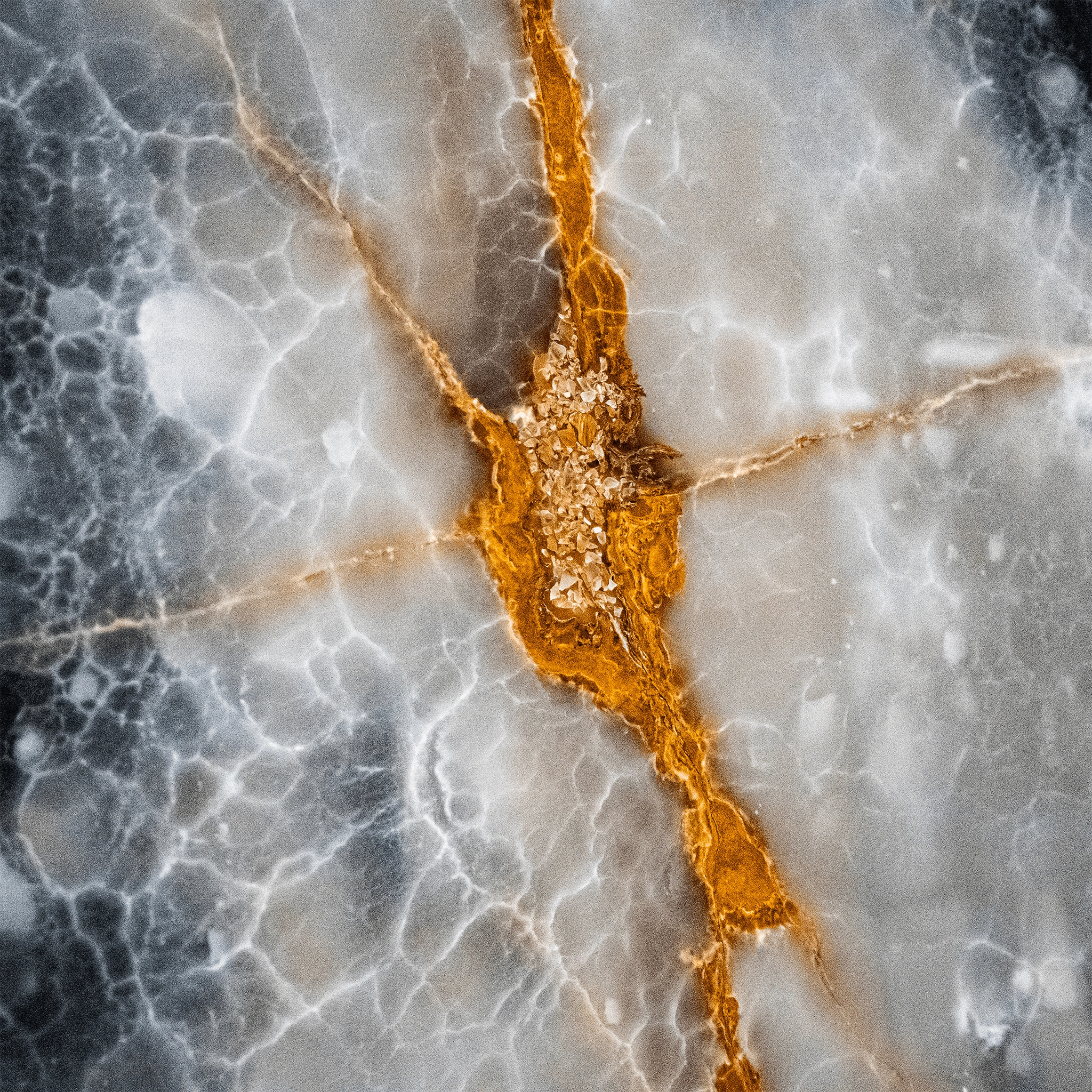 Palladion Ocean Palladion Ocean