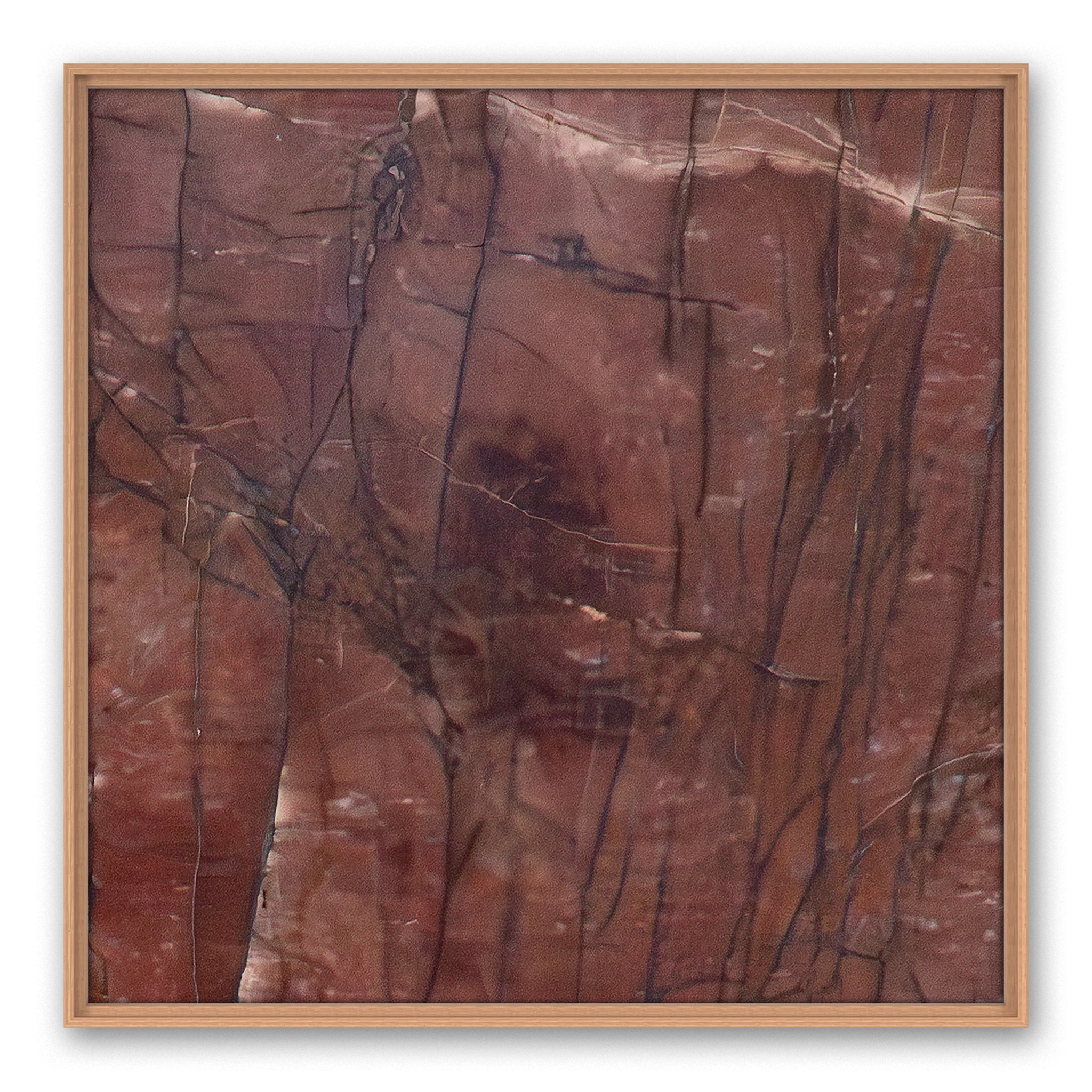 Colligatio Abbessinia