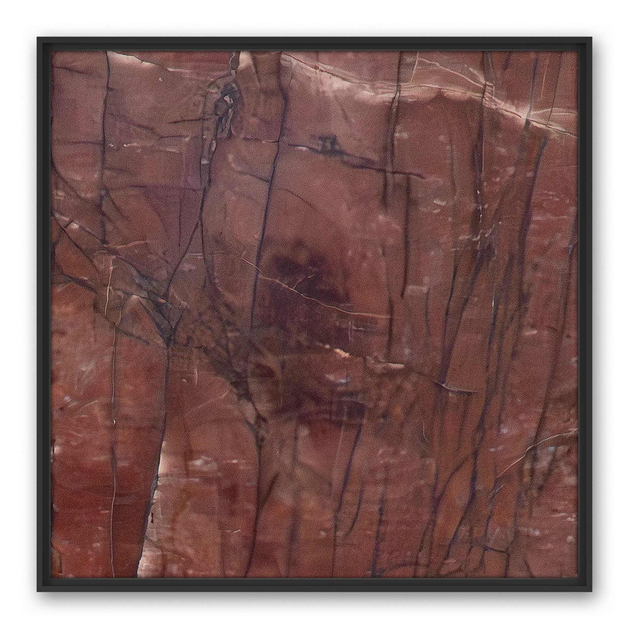 Colligatio Abbessinia