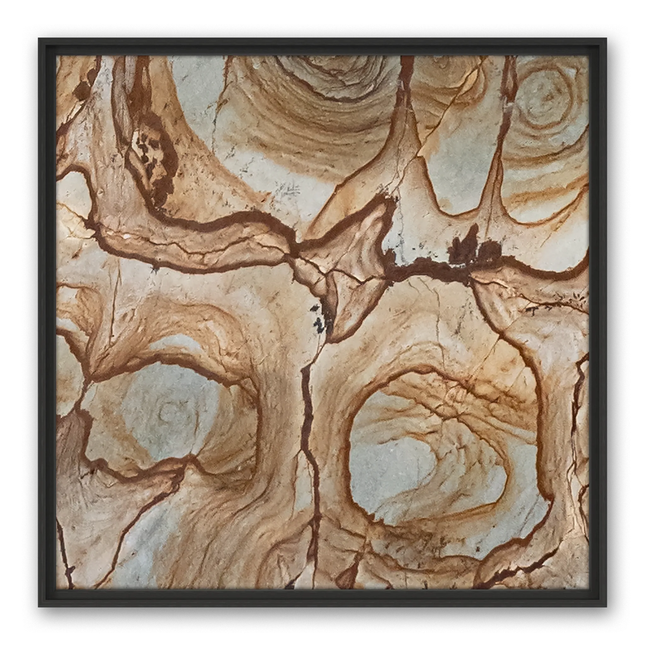 Ambrosius Frame Ambrosius Frame