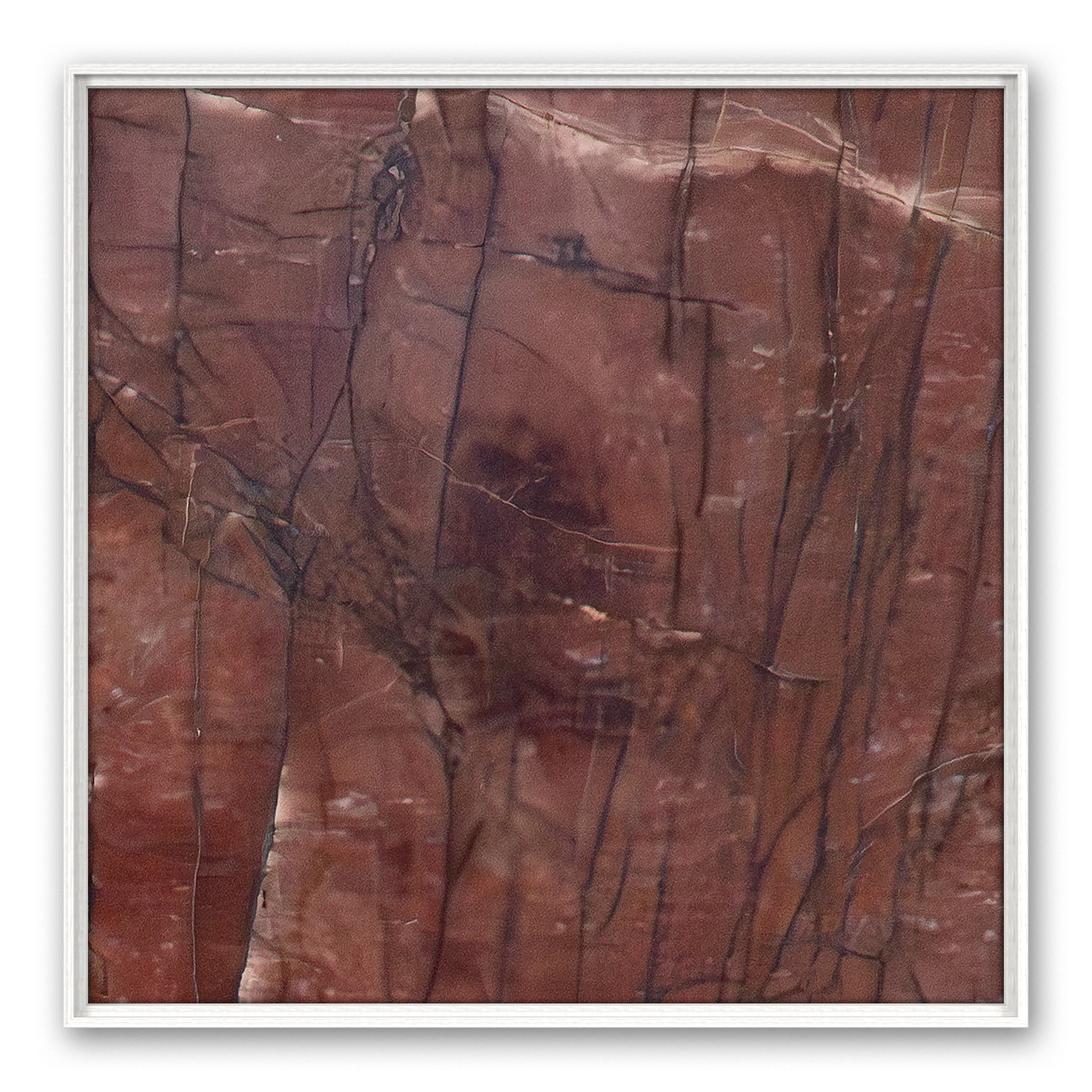 Colligatio Abbessinia