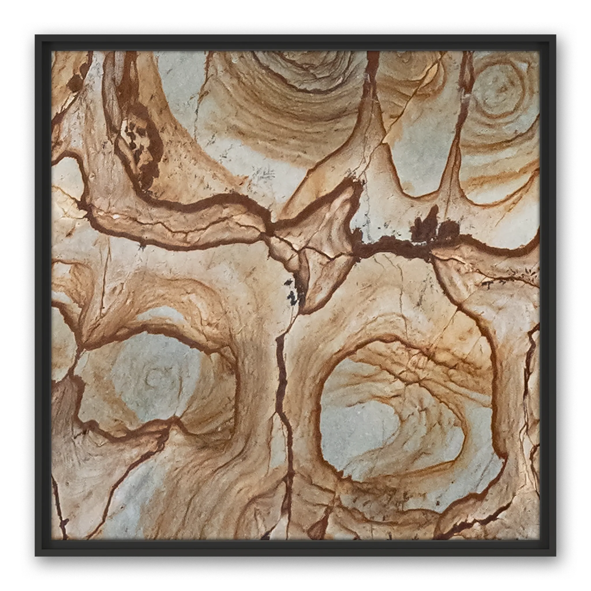 Ambrosius Frame Ambrosius Frame