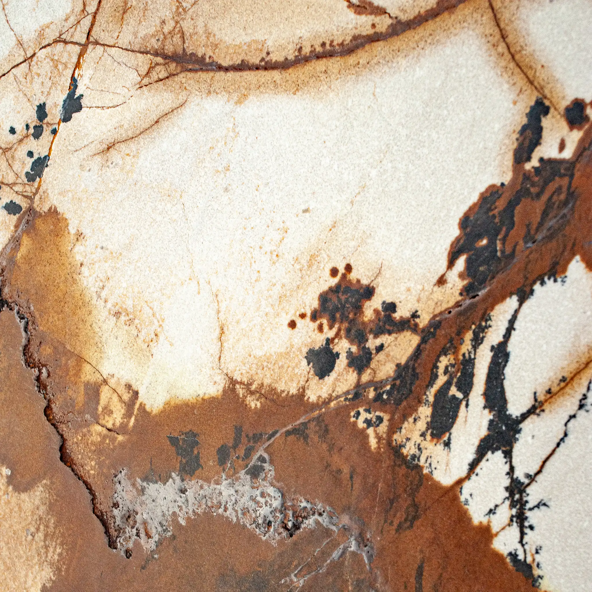 Ambrosius Frame Ambrosius Frame