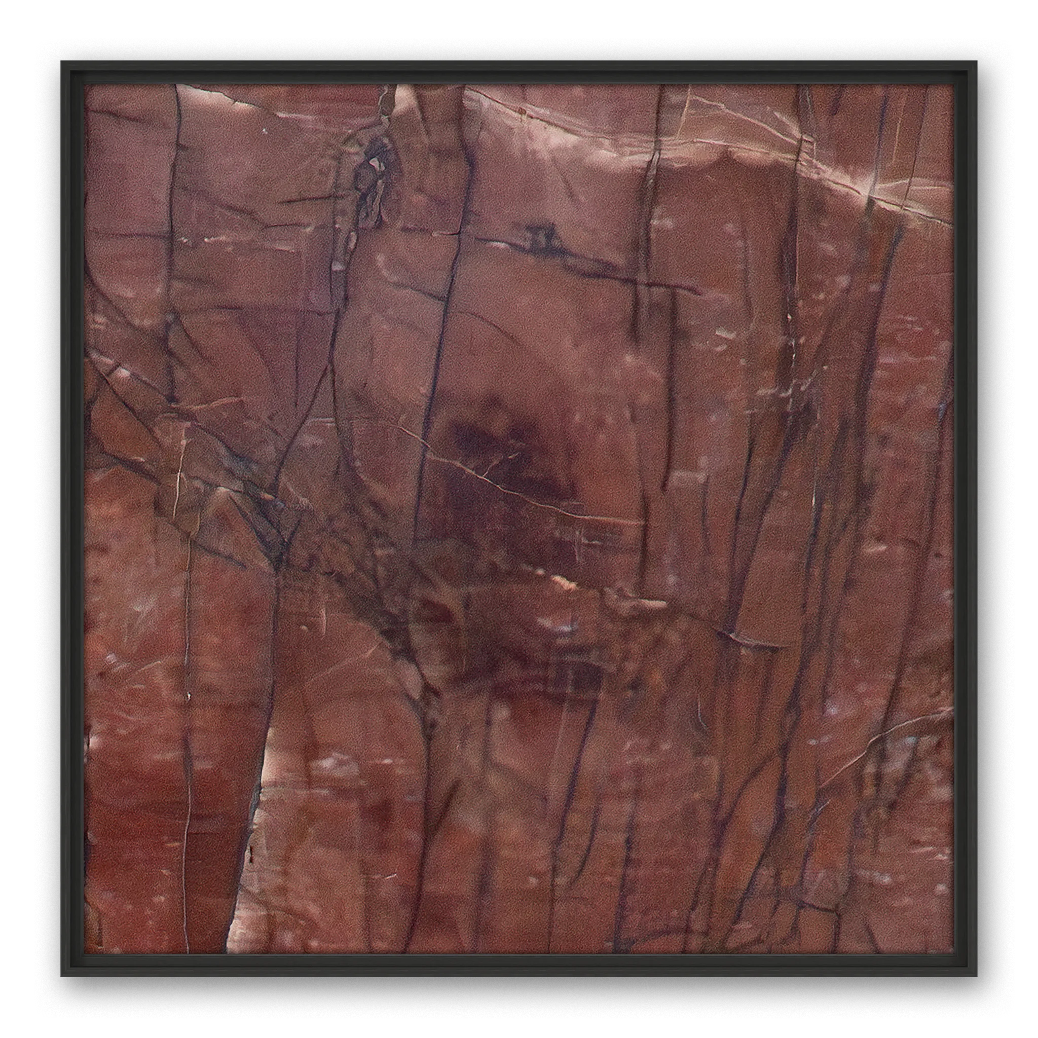 Colligatio Abbessinia