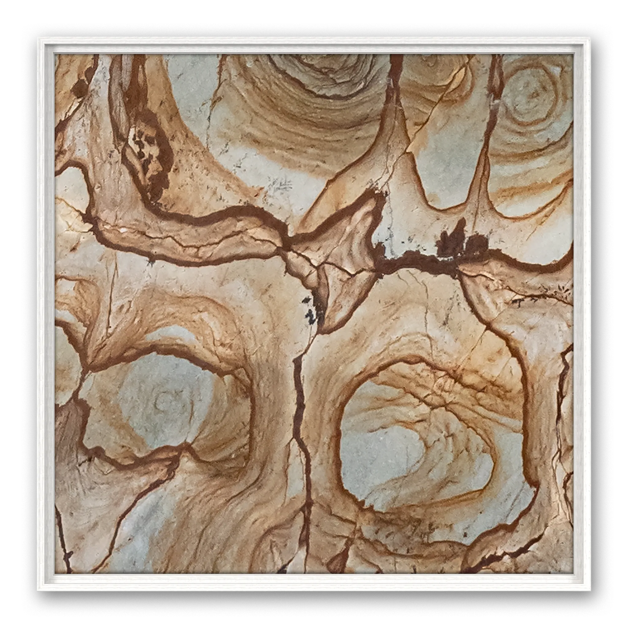 Ambrosius Frame Ambrosius Frame