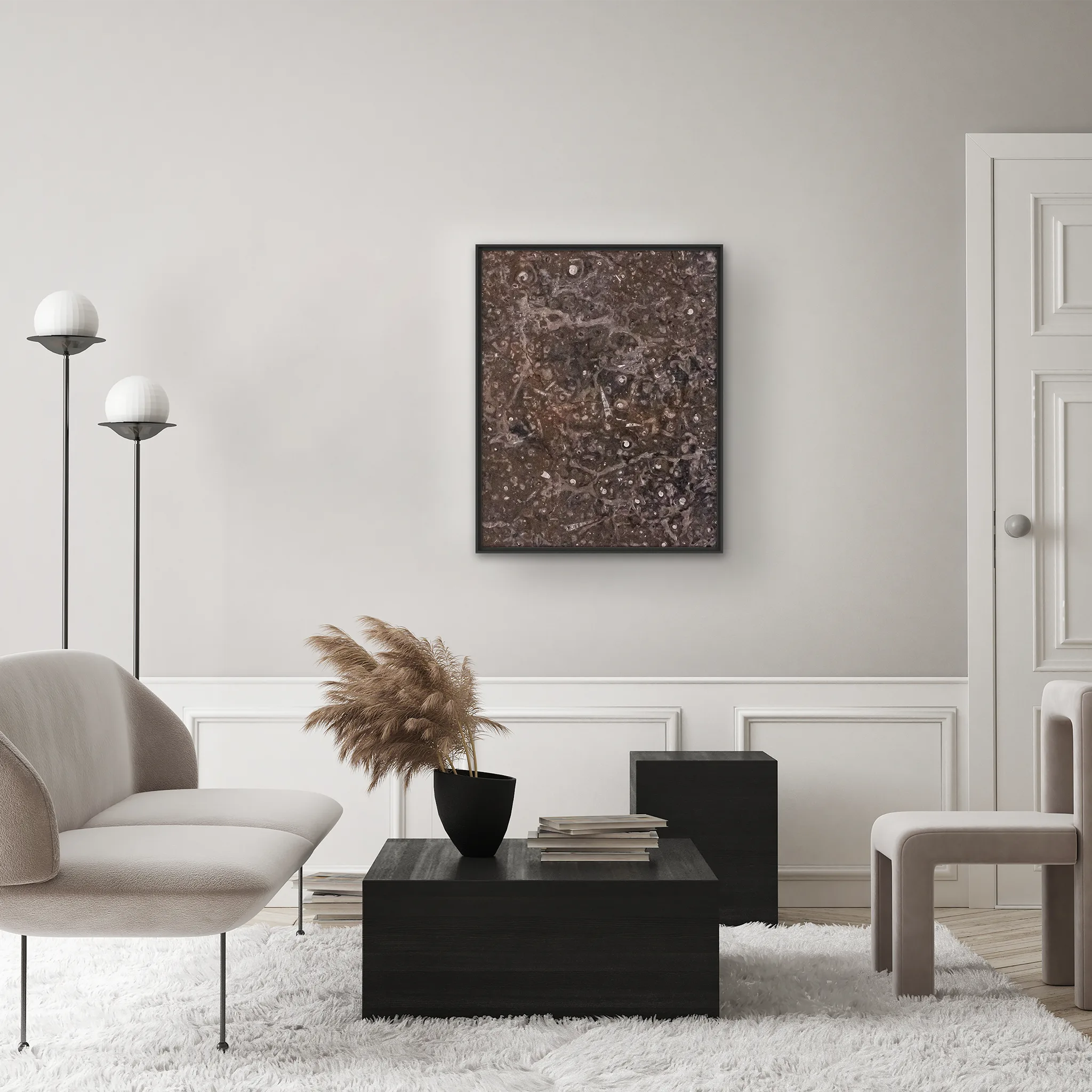 Tempus Bivalvia Tempus Bivalvia