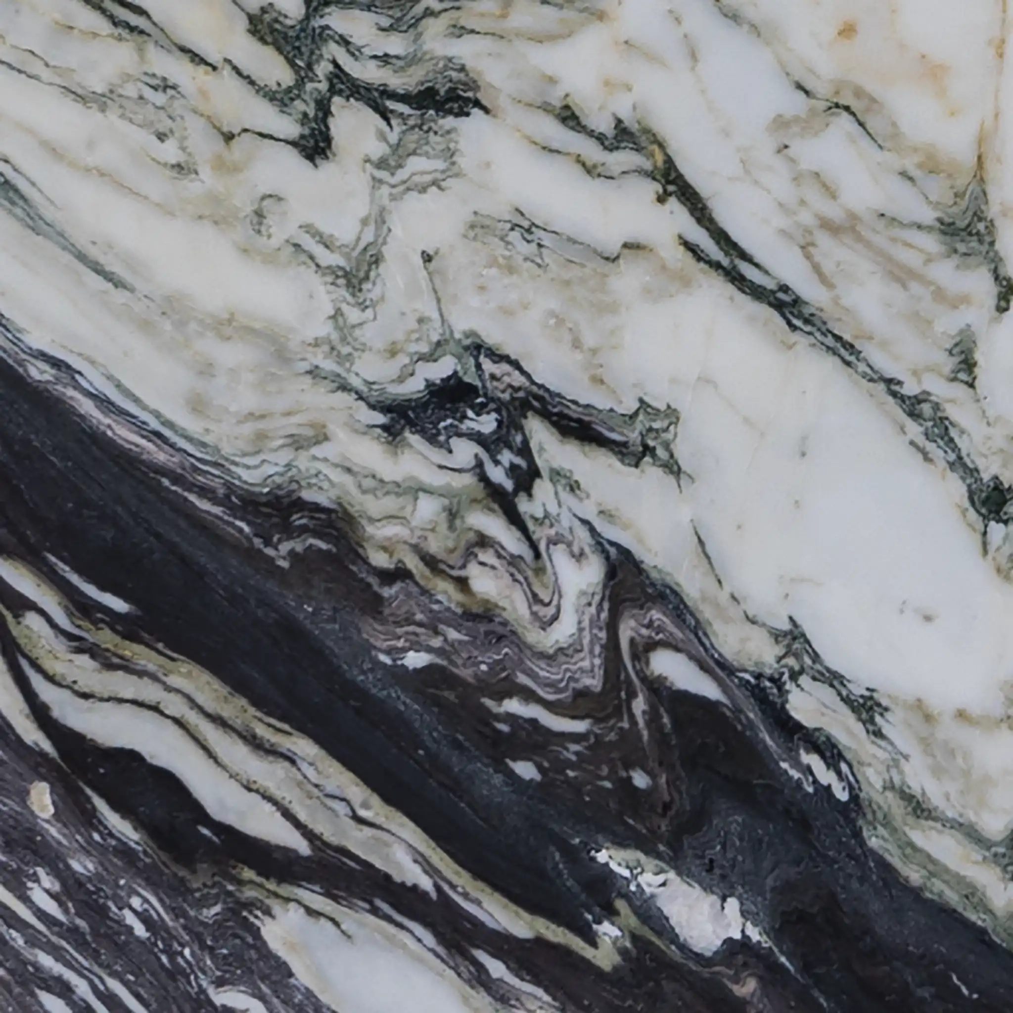 Flactus Phoenix Flactus Phoenix