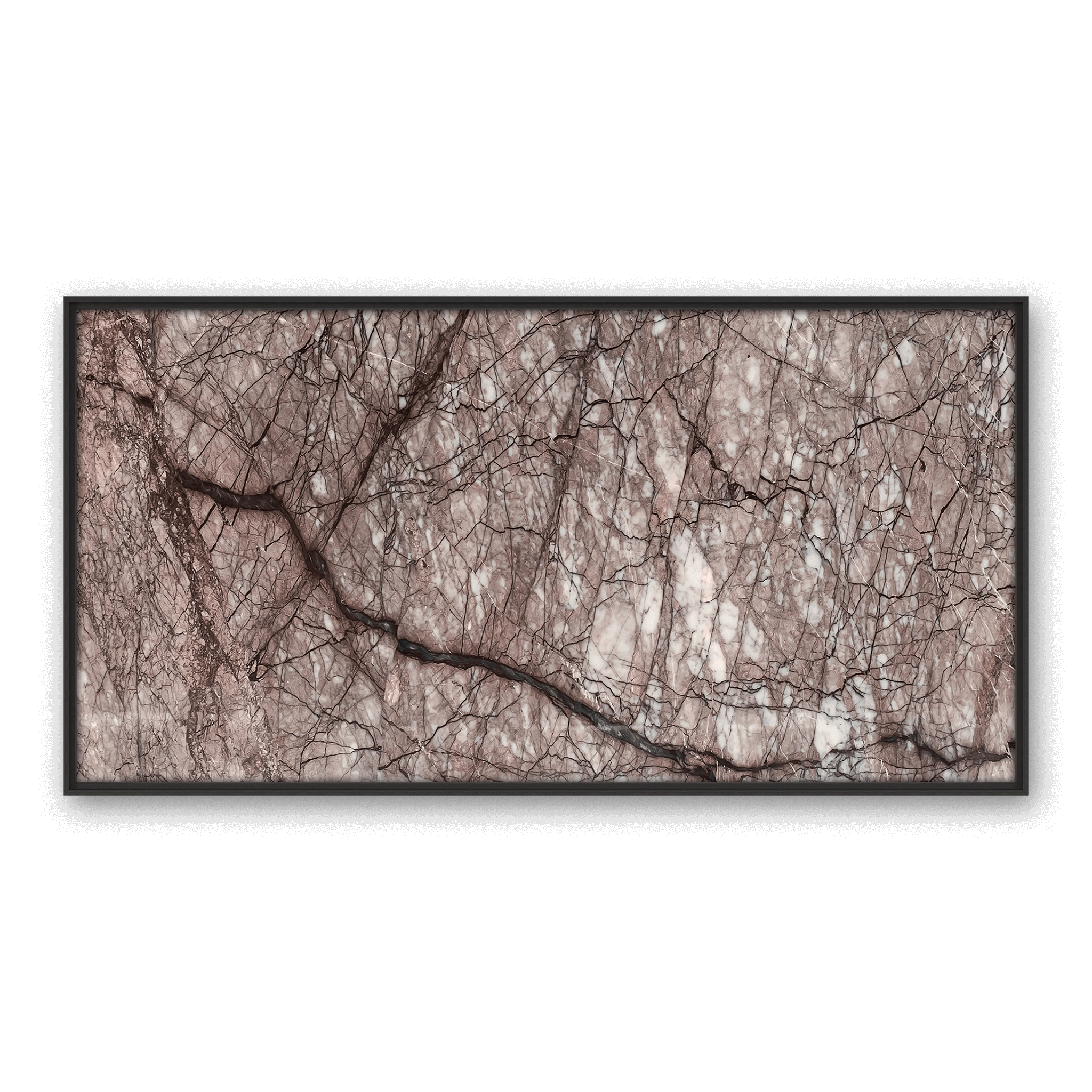 Purpura Veins