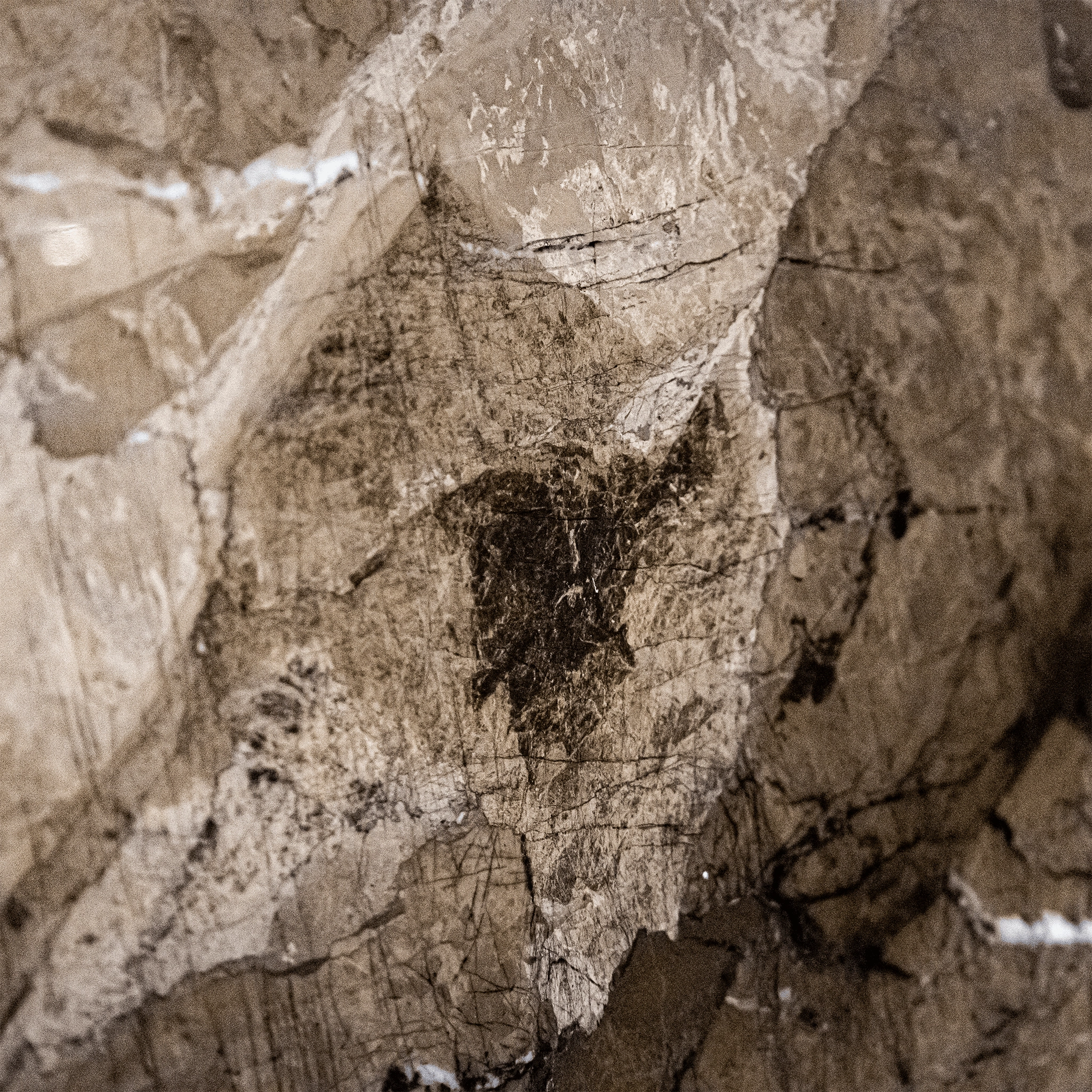 Rock Veins