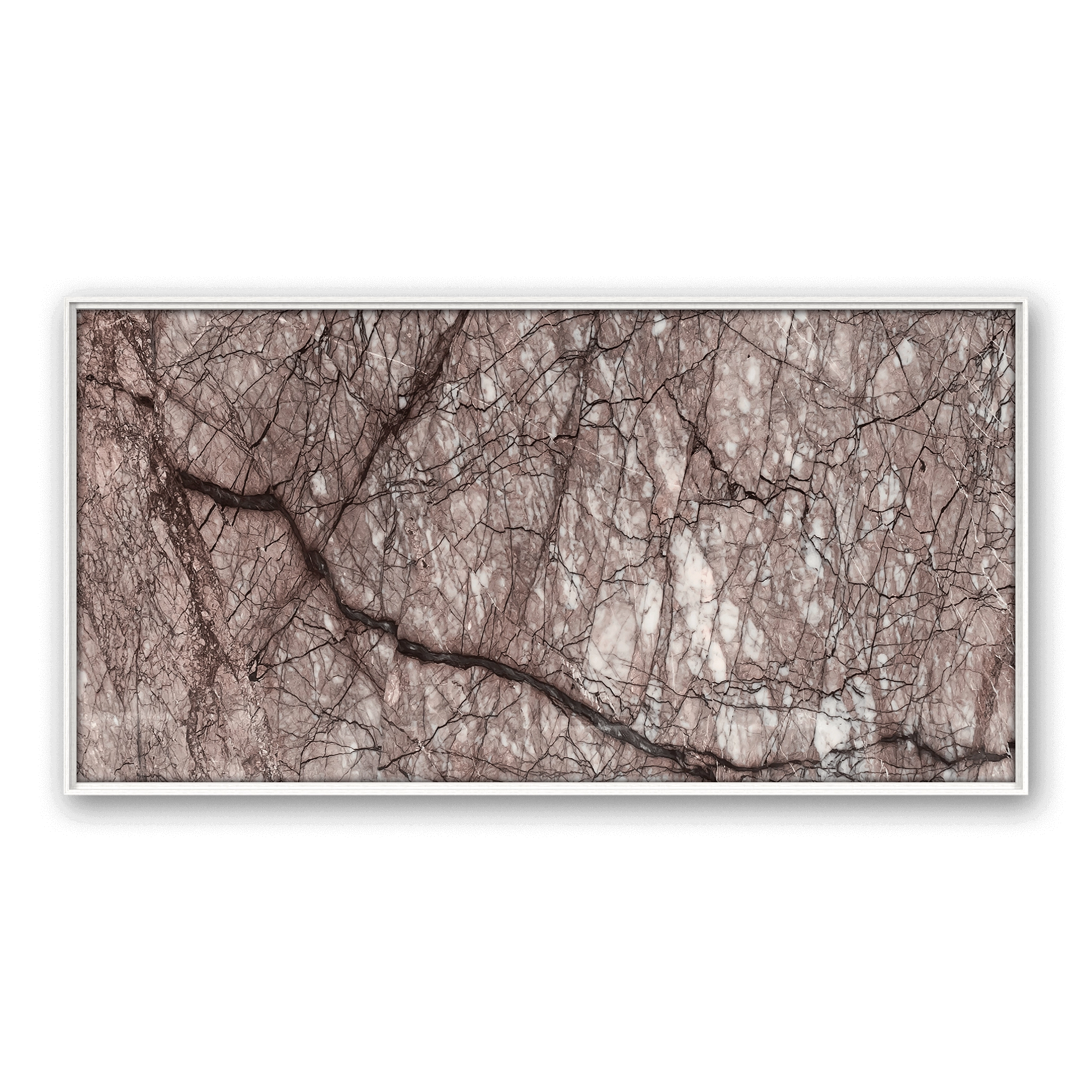 Purpura Veins